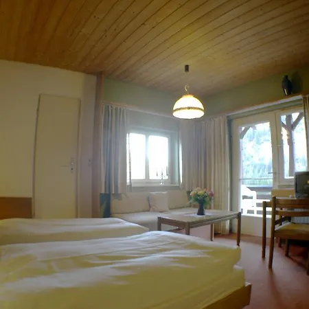 Friedenshoehe Hotel