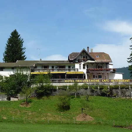 Hotel Friedenshoehe 4*