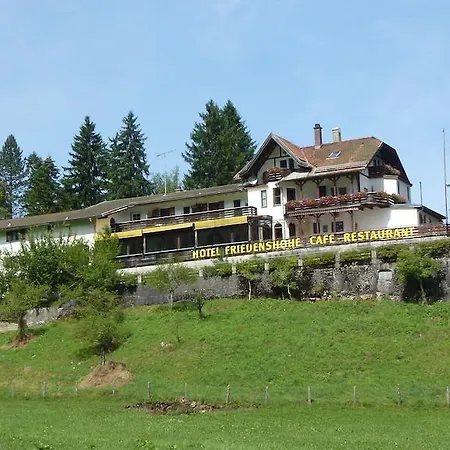 Hotel Friedenshoehe