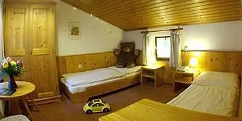 Hotel Friedenshoehe 4*